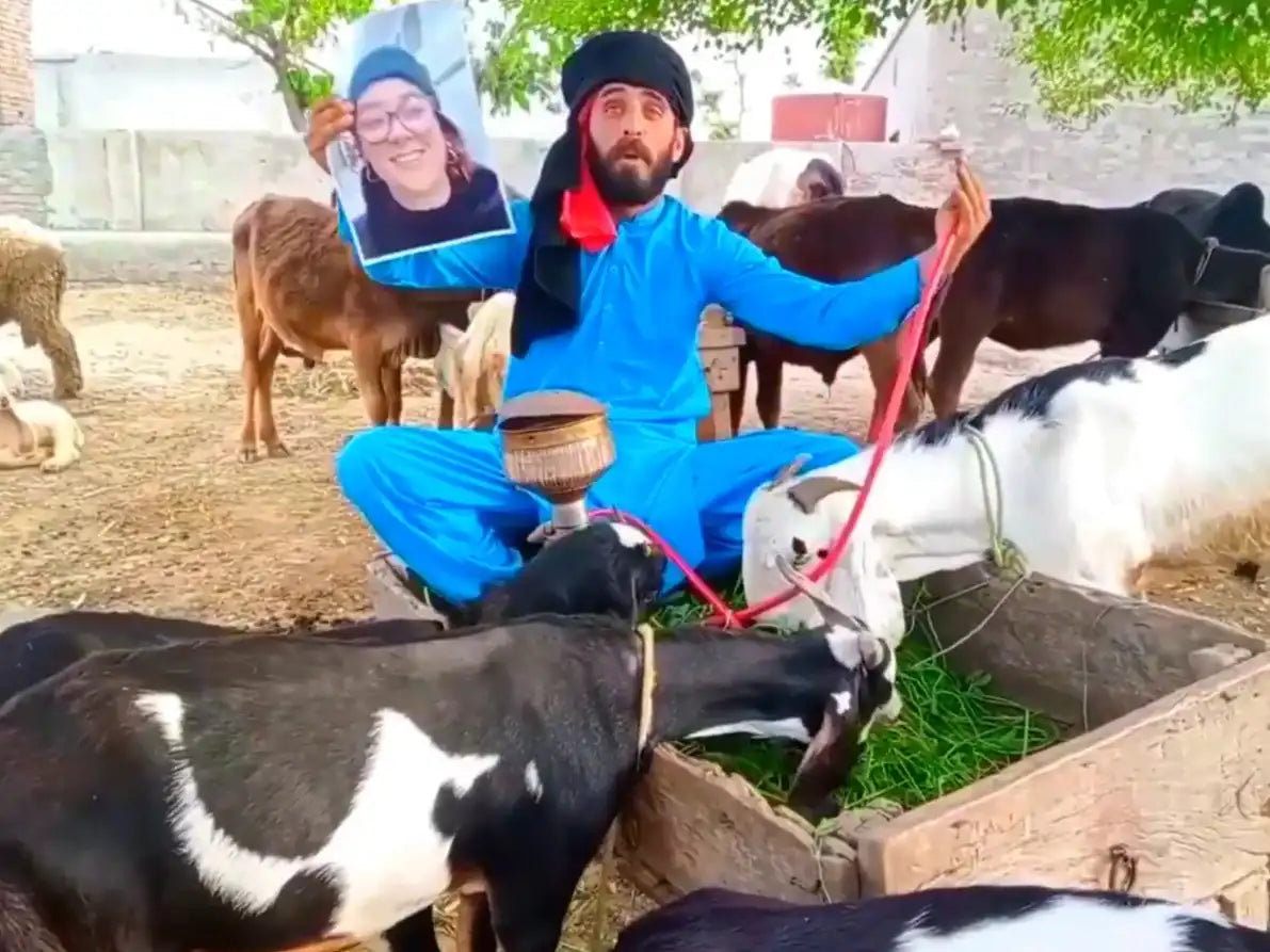 Goats While Dancing