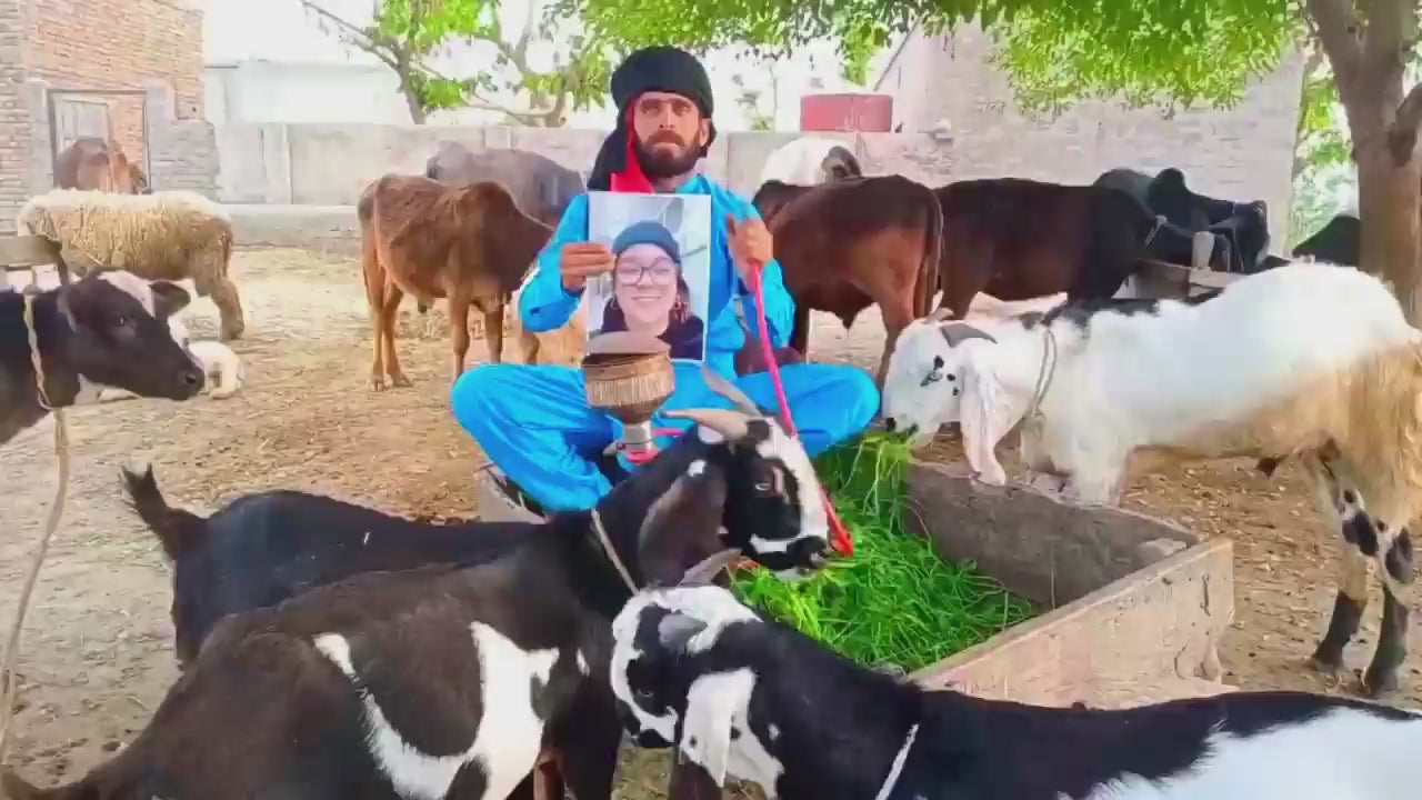 Goats While Dancing