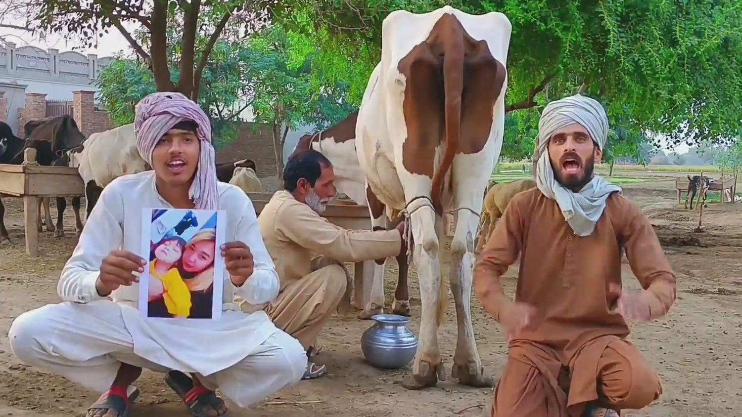 Husband While Milking
