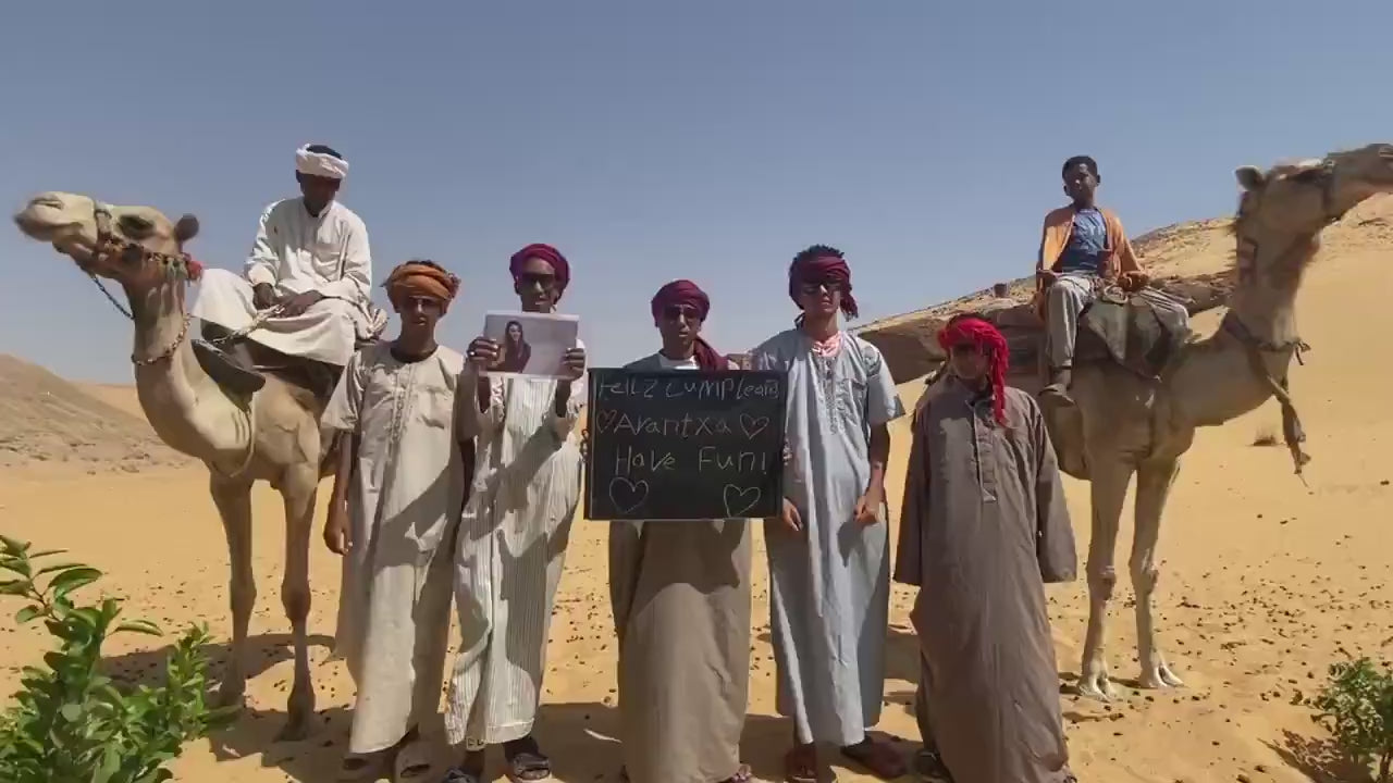 Desert Camel